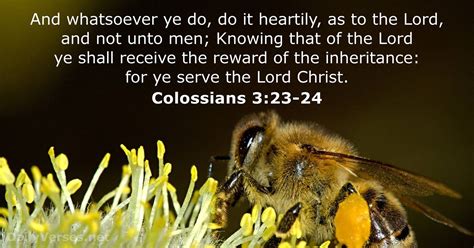 Colossians 3:23–24 .